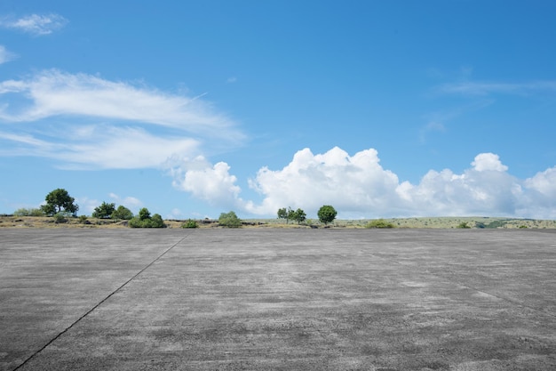 Caminho com vista de campo prado