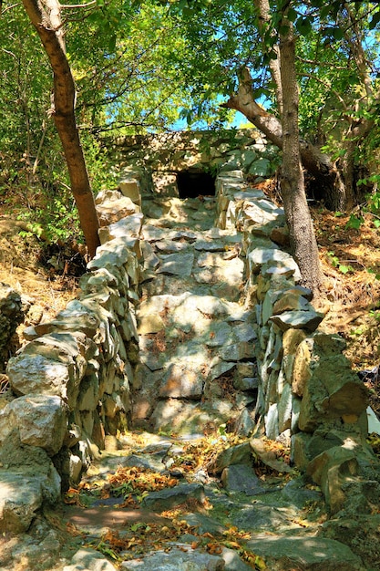 Caminho da água na floresta. Crimeia, Ucrânia