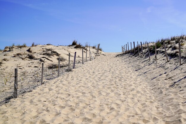 Caminho de areia acesso ao mar da praia oceânica com cerca no dia de verão