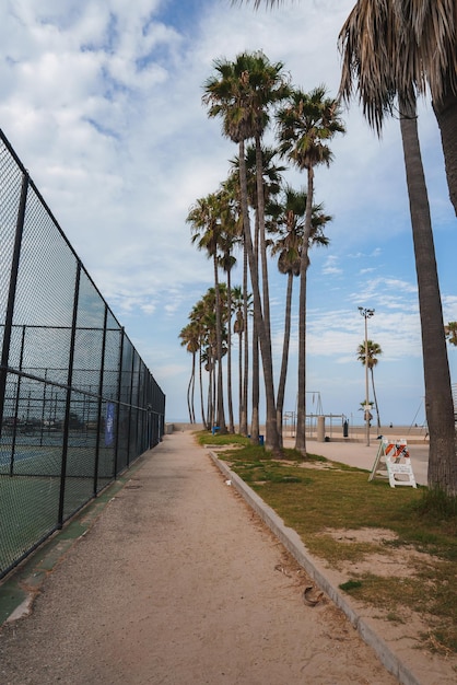 Foto caminho de areia tranquilo com palmeiras ao lado da praia, provavelmente perto da praia de veneza