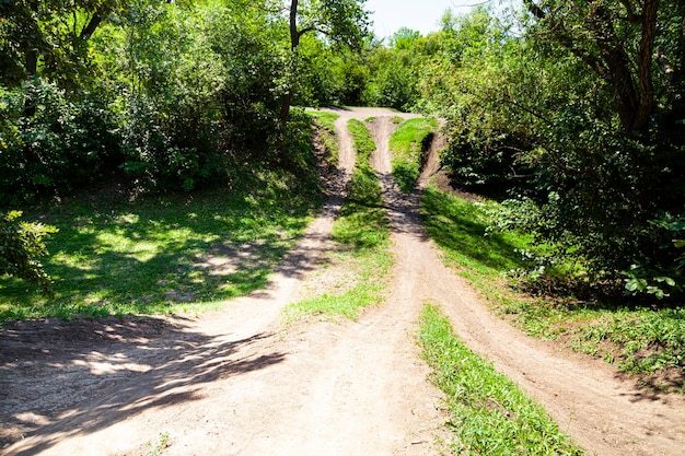 Caminho de caminhada. linda paisagem de verão. estacione em um dia ensolarado.