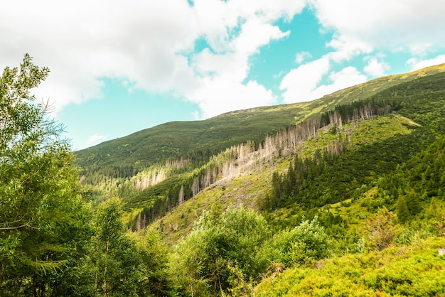 Caminho de caminhada no oeste de Tatras durante o verão com belas vistas da região de Liptov do vale de Ziarska, Eslováquia