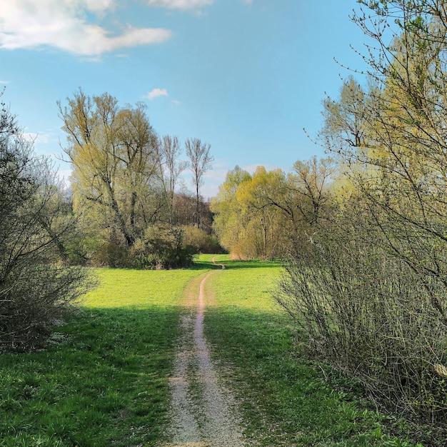 Caminho de cascalho fora na natureza