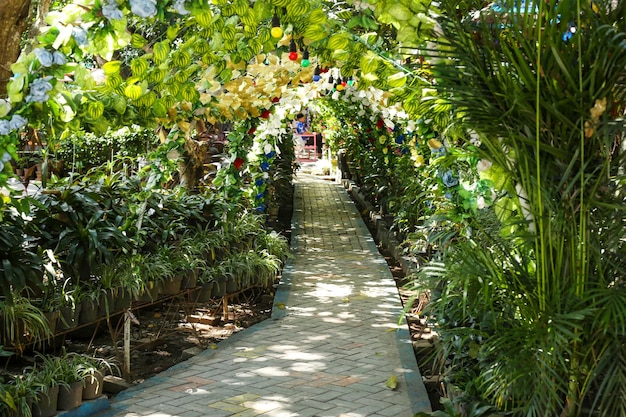 Caminho de concreto no Parque Turístico de Gowa