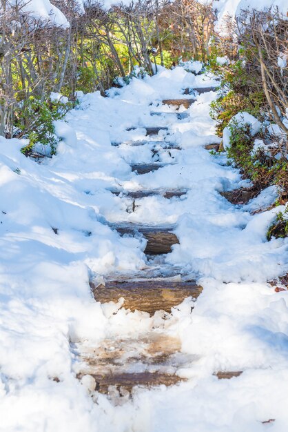 Foto caminho de escada com neve