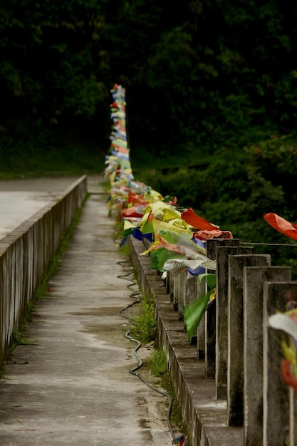 Caminho de Jianshen