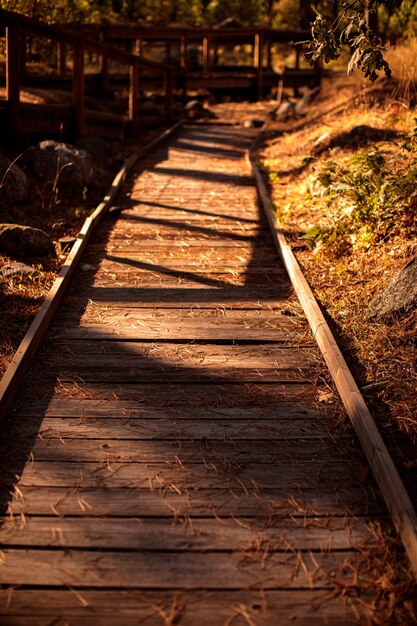 Foto caminho de madeira com corrimão