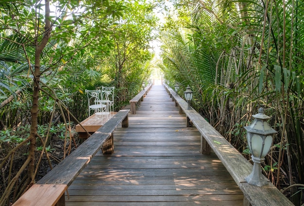Caminho de madeira direto em um jardim tropical