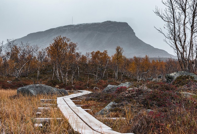 caminho de madeira na floresta de outono perto da montanha Saana, na Finlândia