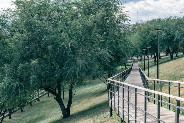 Caminho de madeira para o parque