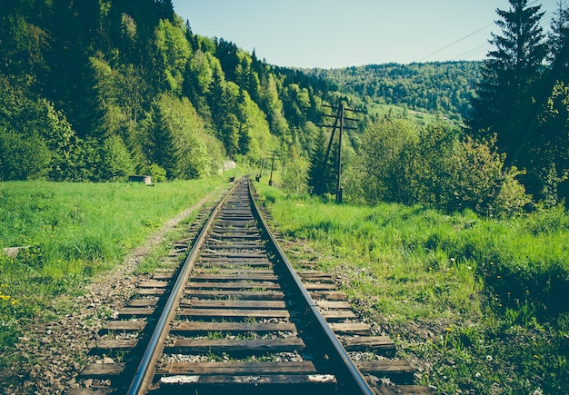 Caminho de mercadorias ferroviárias nas montanhas