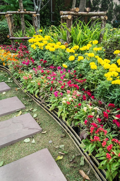 Foto caminho de pedra e grama no jardim