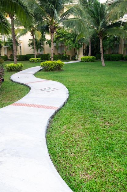 Caminho de pedra no jardim com grama