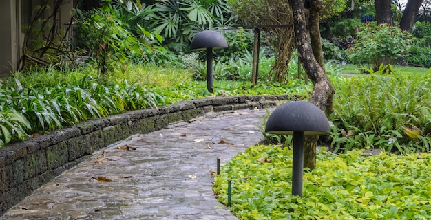 Caminho de pedra no jardim