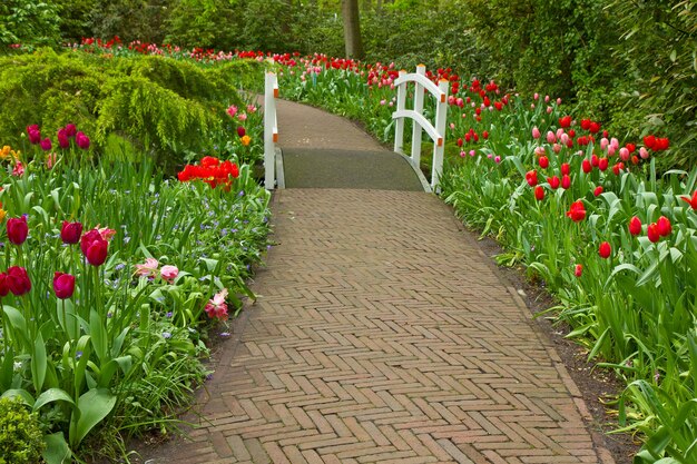 Caminho de pedra sinuoso no jardim de flores da primavera em Keukenhof, Holanda