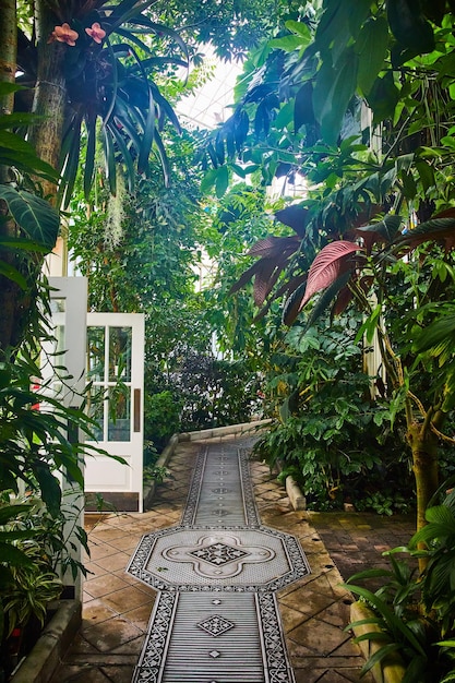 Foto caminho de tijolos e metal através da selva de plantas dentro do conservatório com porta branca