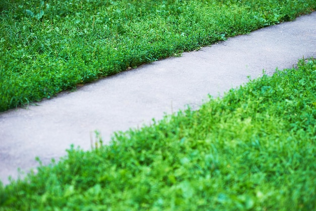 Caminho diagonal do parque com fundo de grama verde hd