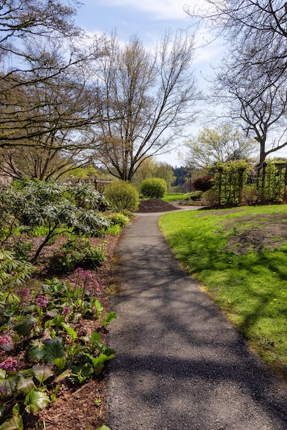 Caminho em um jardim verde vibrante com flores coloridas em um moderno parque urbano