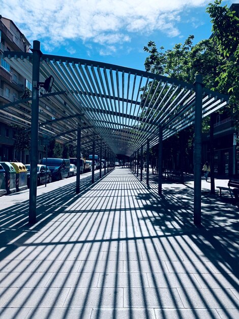 Caminho entre árvores na cidade contra o céu