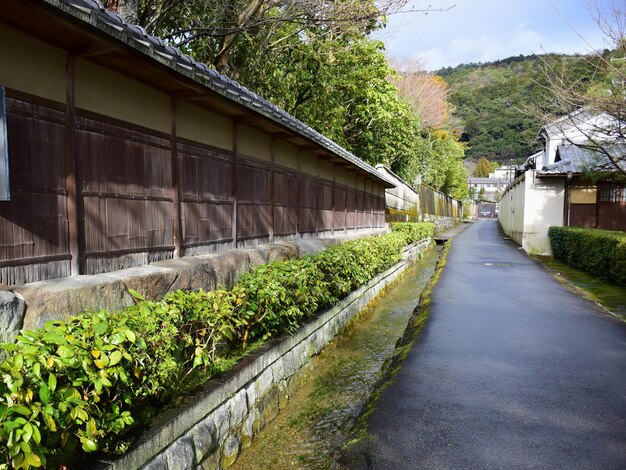 Caminho entre casas e árvores na cidade