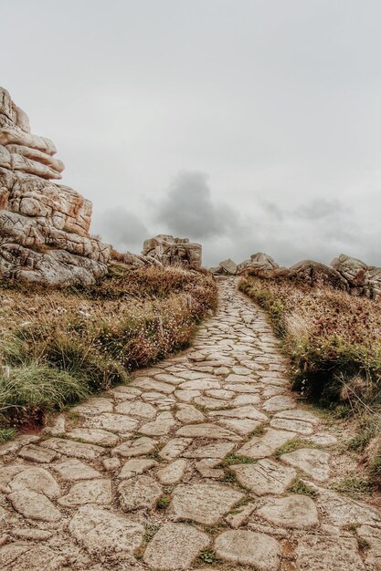 Foto caminho entre plantas contra o céu