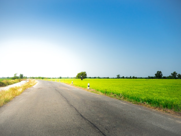 Caminho estrada, ligado, prado verde, em, a, céu azul