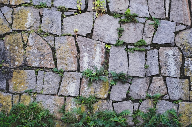 Muro De Pedra Com Musgo E Plantas Verdes. Captura De Reforço Da Via De  Cobertura. Pavimentação De Pedra Natural No Parque Próximo. Imagem de Stock  - Imagem de velho, estrutura: 262768673