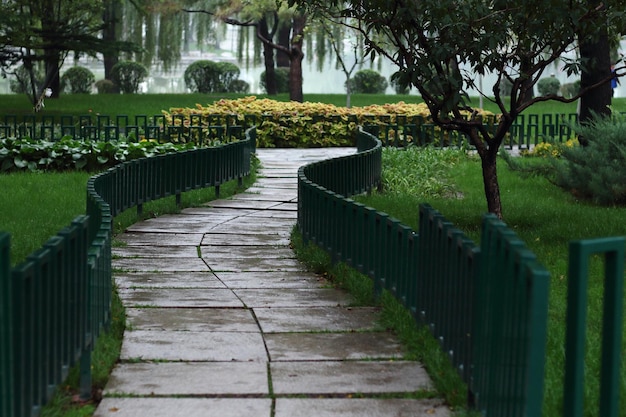 Caminho molhado em um parque