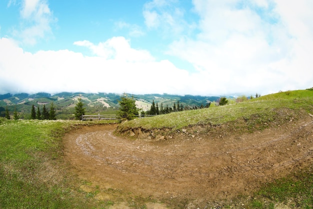 Caminho na floresta montanhosa