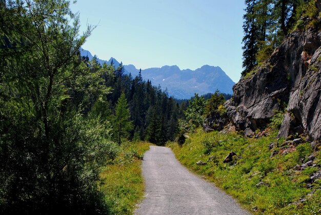 Foto caminho nas montanhas