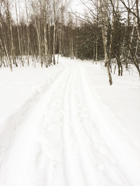 Caminho nevado na floresta de inverno. paisagem natural.