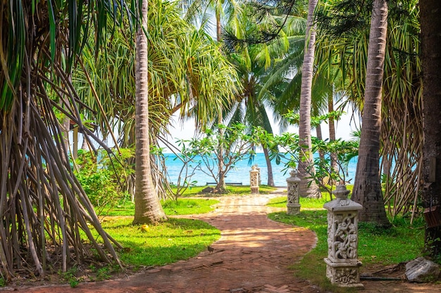 Caminho no Jardim Tropical com palmeiras e plantas que levam ao mar Viagens e turismo