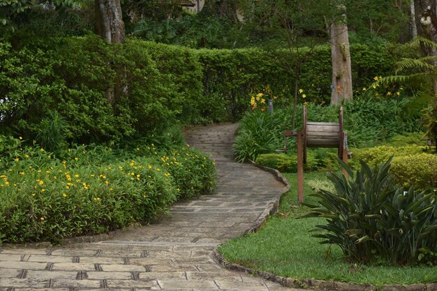Caminho no jardim