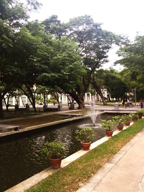 Caminho no parque