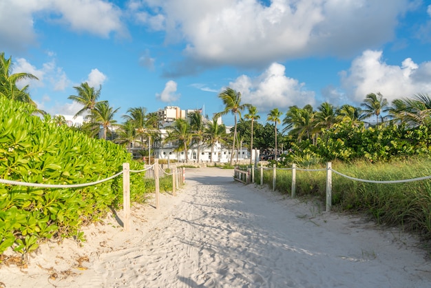 Caminho para a praia em Miami Florida com oceano