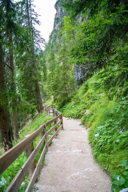 Foto caminho para caminhar ao redor do lago braies ou pragser wildsee nas dolomitas tirol do sul itália