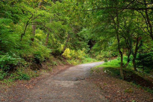 Caminho para o famoso mosteiro Kintsvisi em Shida Kartli, no centro da Geórgia. Viajar por