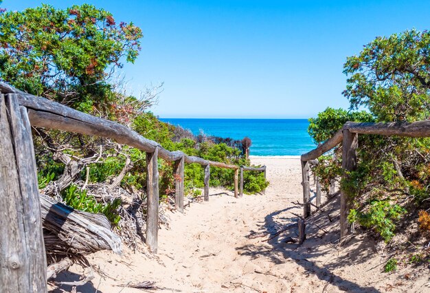 Caminho para o mar através da praia