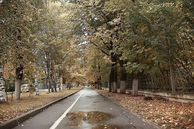 caminho parque de outono / paisagem de outono, parque amarelo em árvores e folhas de outono, um lindo dia ensolarado no parque da cidade. a queda