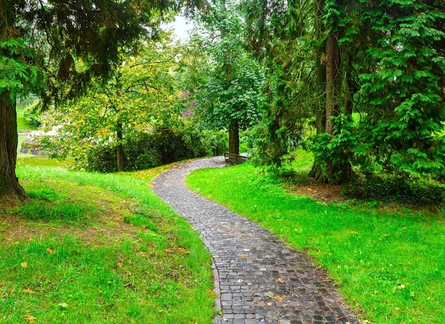 Caminho pedregoso com banco em parque de verão