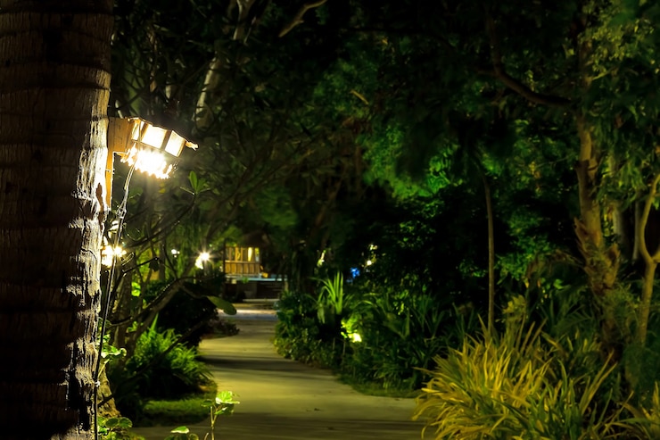 Caminho por um jardim tropical iluminado por lâmpadas de madeira em palmeiras