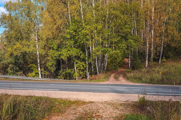 Caminho que leva à floresta no outono. fundo de viagem. rodovia de asfalto passando pela floresta. letônia. báltico.