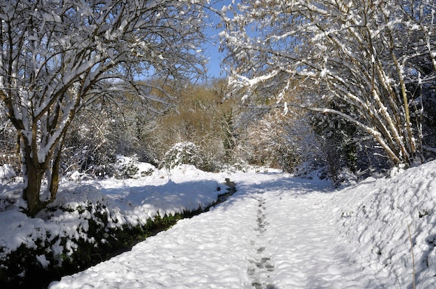 Caminho sob a neve na Bretanha