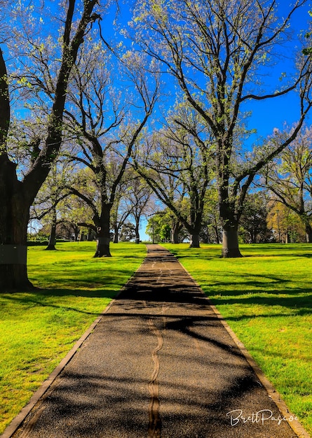 Foto caminho vazio no parque