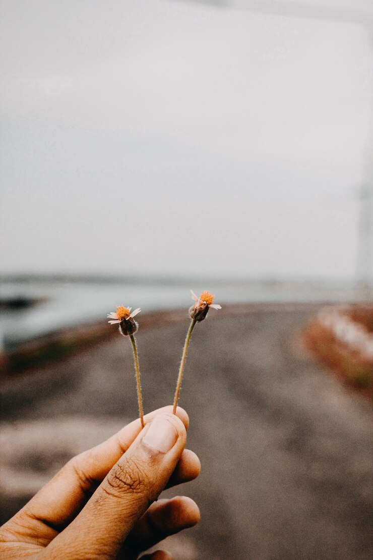 Foto caminhos difíceis muitas vezes levam a destinos bonitos