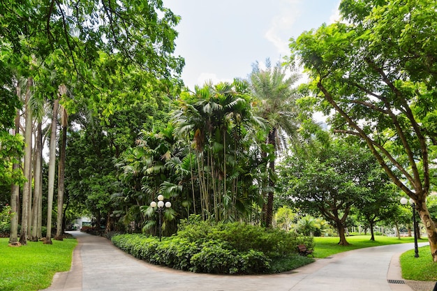 Caminhos do parque em Shenzhen, China