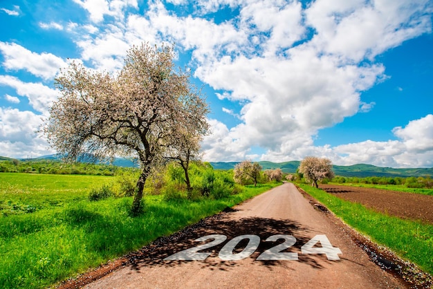 Camino 2024 el camino conduce a las montañas en un cálido día de primavera al comienzo de la primavera los árboles están floreciendo