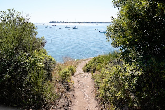 Camino de acceso a la costa con entrada a la playa de bretaña al mar atlántico en Arzon west vannes bretaña francesa en Francia