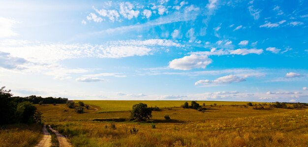 Camino agrícola en los prados