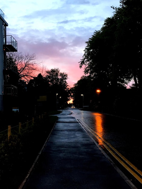 Foto camino al atardecer